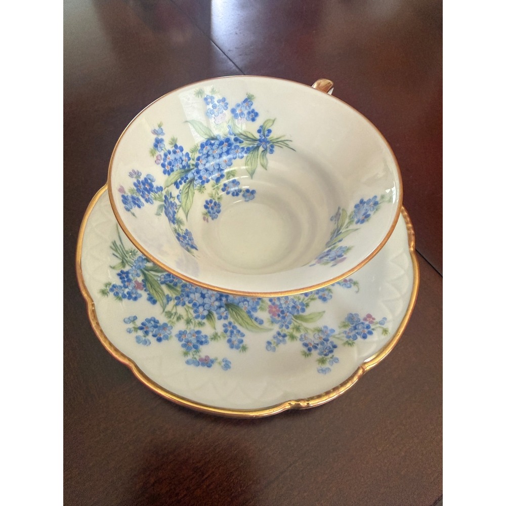 Mitterteich Bavaria Germany Forget Me Not Tea Cup and Saucer Set Gold Trim 45